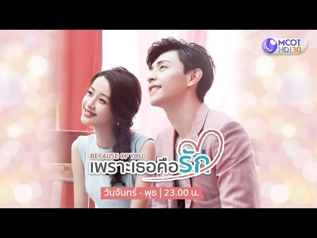 Because of You (เพราะเธอคือรัก)